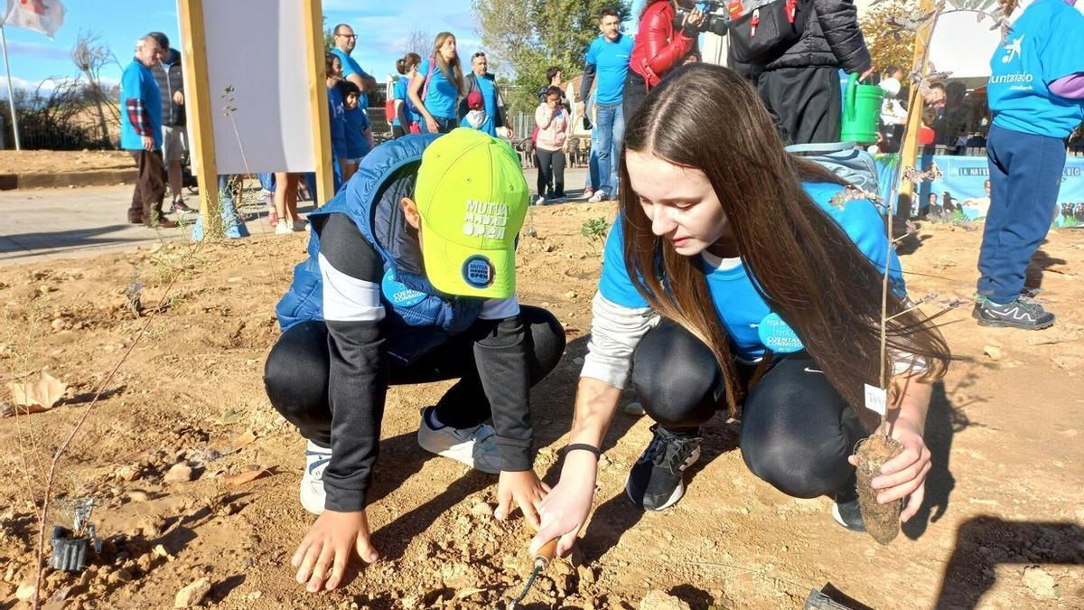 Un momento de una de las plantaciones que se realizaron