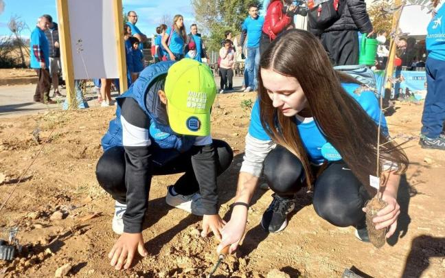 Un momento de una de las plantaciones que se realizaron Un momento de una de las plantaciones que se realizaron