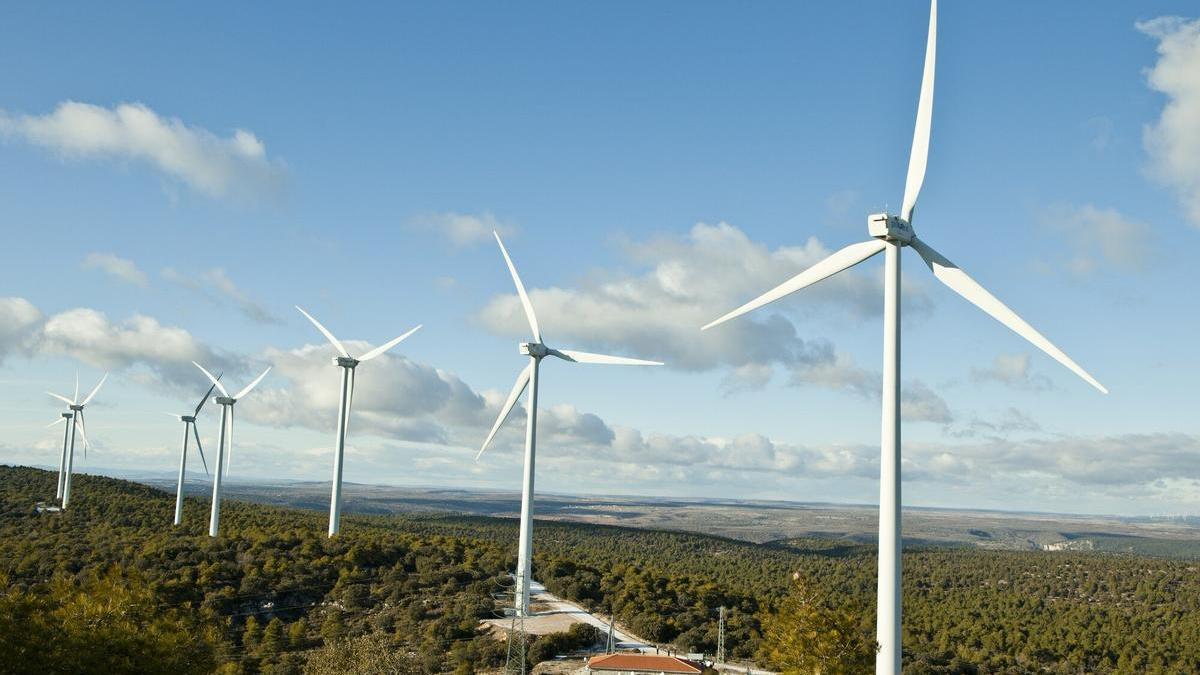 Dos compa&ntilde;&iacute;as referentes en la energ&iacute;a e&oacute;lica se han interesado por Gipuzkoa.