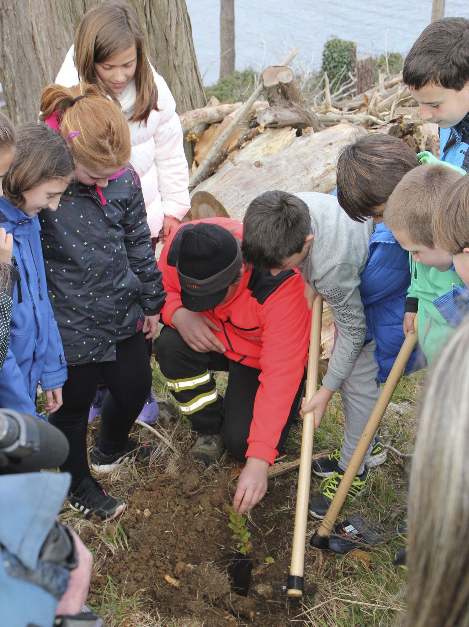 Uno de los trabajos de recuperación de la flora en el islote.