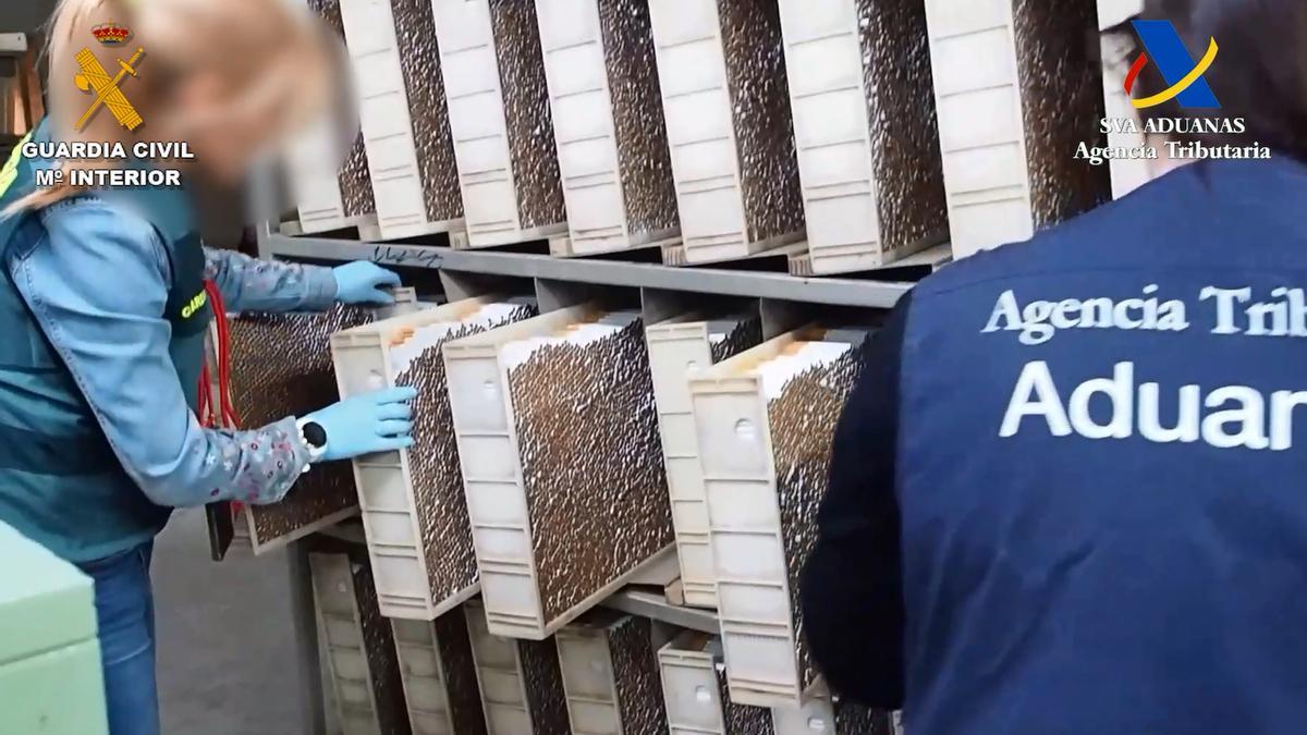 Cigarros almacenados en una de las naves.
