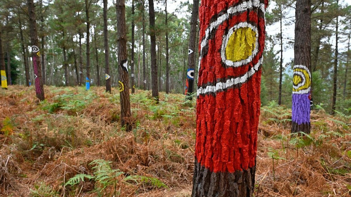 El bosque mágico de Oma comienza a resurgir tras los daños del tiempo y de la naturaleza.