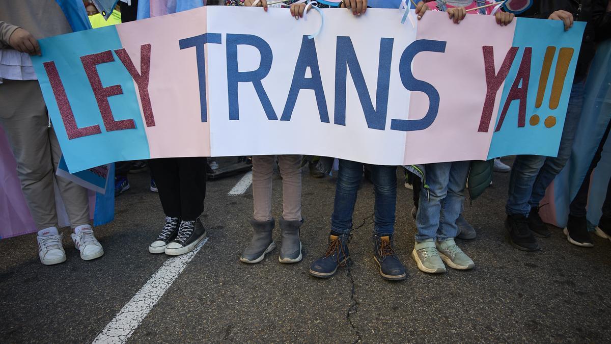 Manifestación a favor de la Ley Trans.