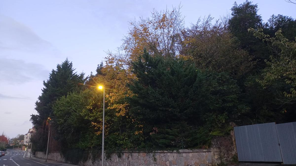 Exterior de la parcela de Villa Ereski, con abundante arbolado.