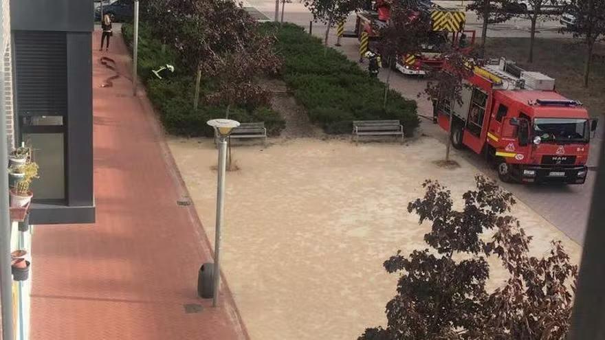 Bomberos en Paseo de Atenas del barrio de Salburua