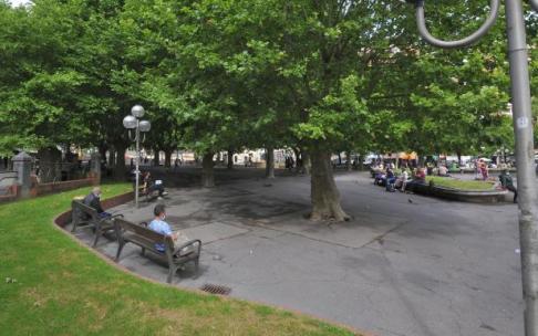 Campa de Basarrate en Santutxu.