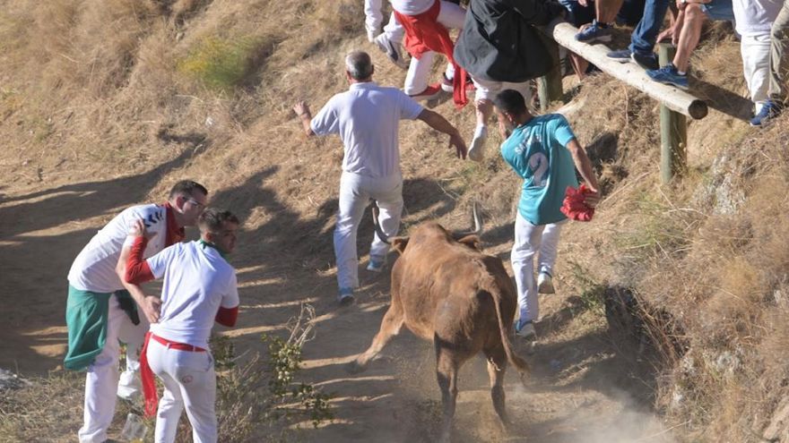 Gran expectación en el penúltimo encierro del Pilón este sábado