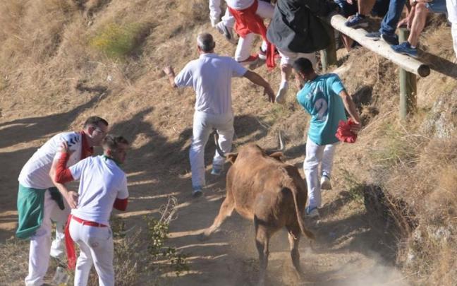 Gran expectación en el penúltimo encierro del Pilón este sábado Gran expectación en el penúltimo encierro del Pilón este sábado