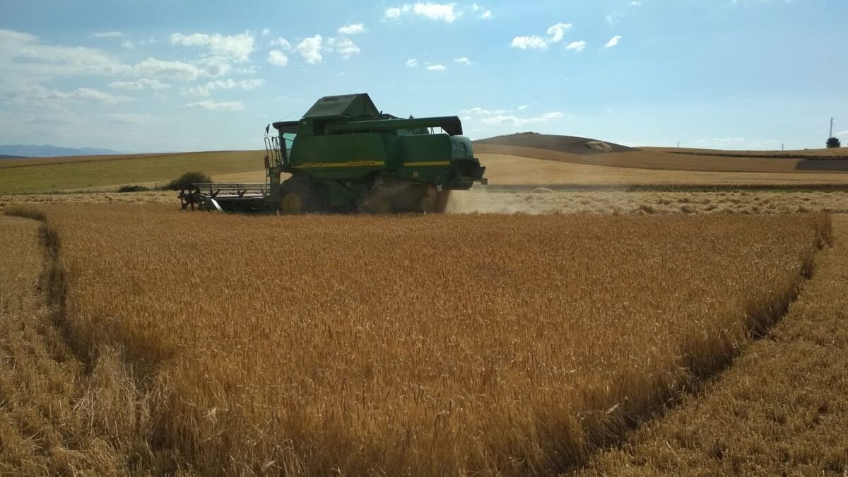 Un tractor cosechando