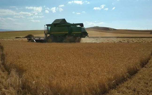 Un tractor cosechando