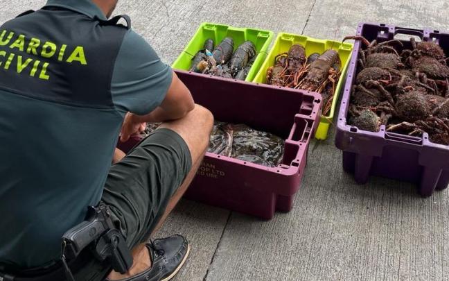 Incautación de 52 kilos de marisco en Pasaia Incautación de 52 kilos de marisco en Pasaia