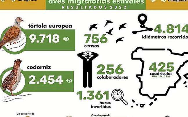 Pareja de codornices, coturnix. | FOTO: JOSÉ MANZANO