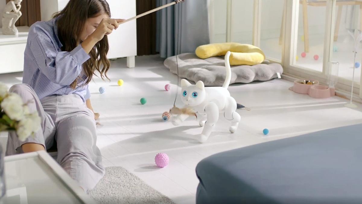 El gato MarsCat, en versión sin pelo, para los alérgicos.