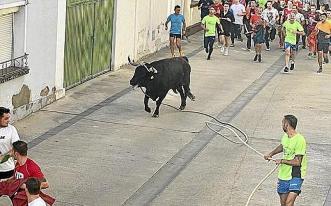 Salida del toro con soga el pasado s&aacute;bado, y la trashumancia del domingo por las calles de Lodosa. | FOTOS: M.S.G.