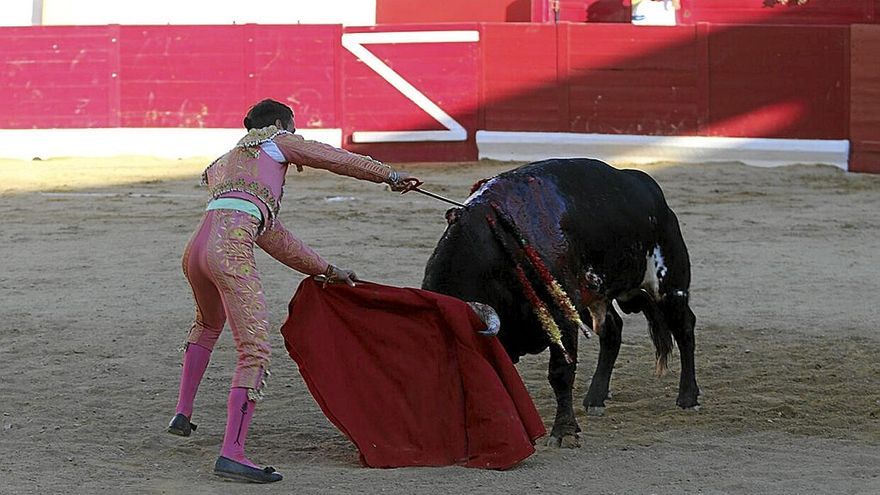 El joven oscense, Javier Poley, que lidiaba su segunda novillada picada, cobró una gran estocada al tercer utrero del complicado encierro de Conde de la Corte.