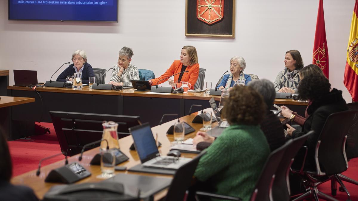 Representantes de la Asociación Pacto por la Persona Mayor de San Juan, ayer en el Parlamento.