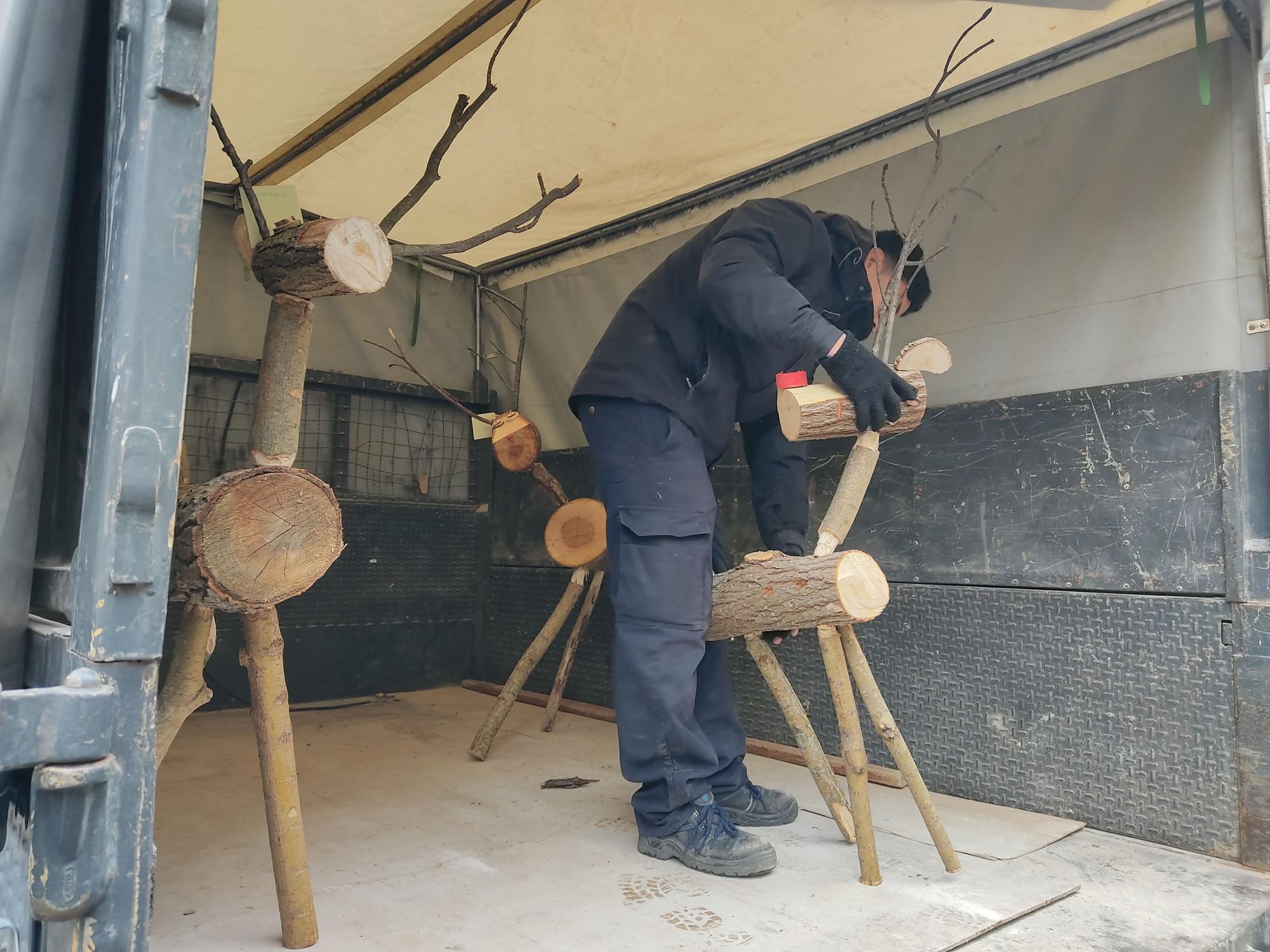 Imagen de varios de los ejemplares, antes de su reparto