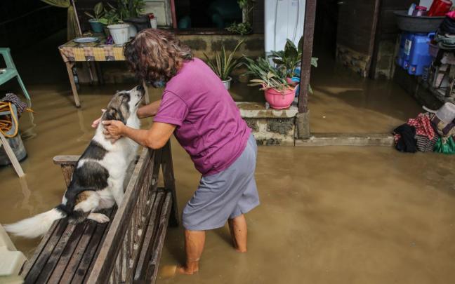 Miles de afectados por las inundaciones provocadas por las fuertes lluvias registradas en Filipinas por el paso de la tormenta tropical 'Nalgae'. Miles de afectados por las inundaciones provocadas por las fuertes lluvias registradas en Filipinas por el paso de la tormenta tropical 'Nalgae'.