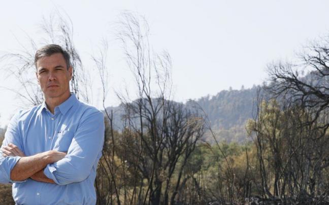 Pedro Sánchez, frente al paisaje calcinado. Pedro Sánchez, frente al paisaje calcinado.