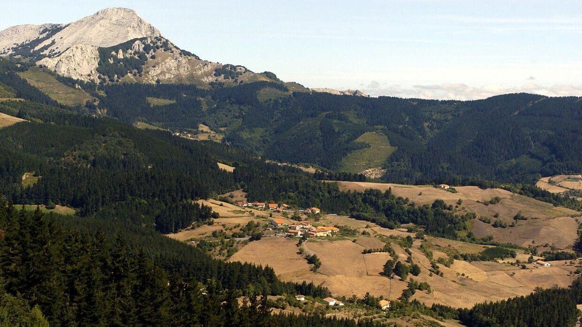 Caminar por el monte y paciencia, las dos claves para encontrar los frutos más codiciados de septiembre y octubre en Álava.