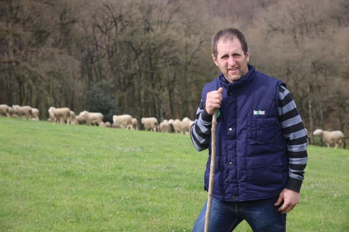 Miguel Ángel Oyarzun Baraibar, con su rebaño al fondo que pasta en la finca situada en el término Esparceta.