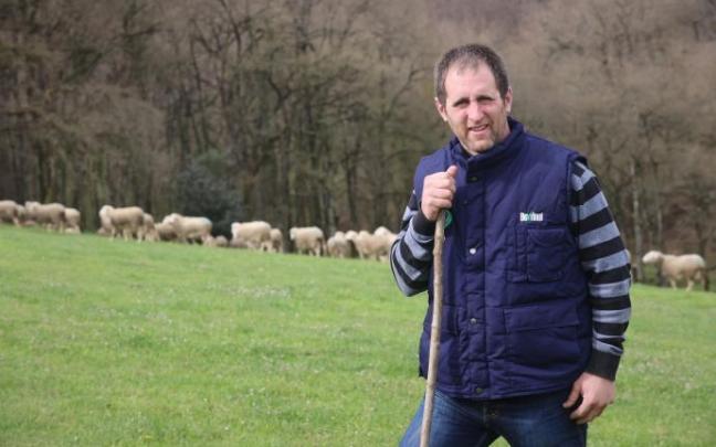 Miguel Ángel Oyarzun Baraibar, con su rebaño al fondo que pasta en la finca situada en el término Esparceta. Miguel Ángel Oyarzun Baraibar, con su rebaño al fondo que pasta en la finca situada en el término Esparceta.