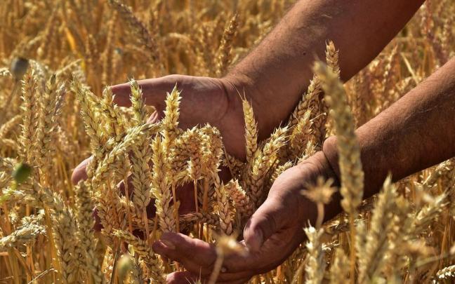 Imagen de detalle de un agricultor Imagen de detalle de un agricultor