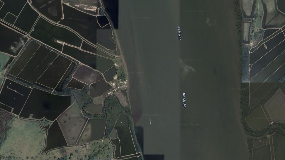 Imagen de Guadual, entre camaroneras