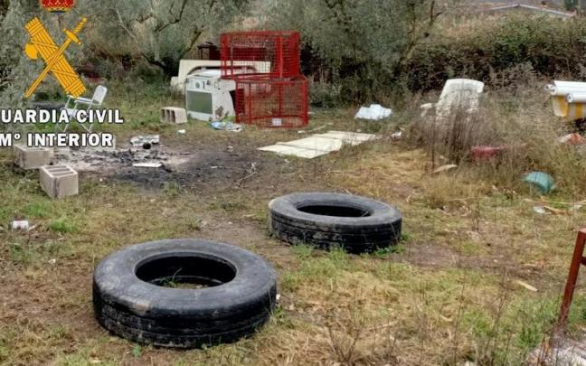 Al fondo, protectores de aspersores.