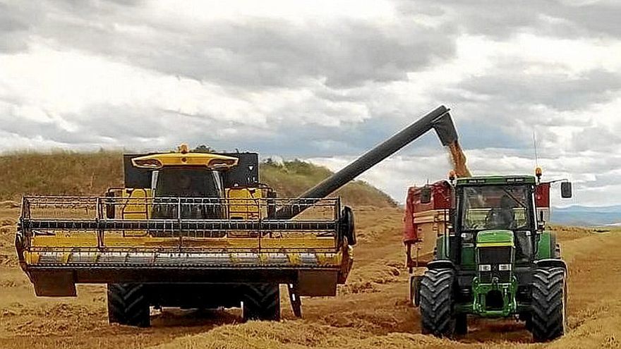 Una cosechadora y un tractor en un campo de cereal.