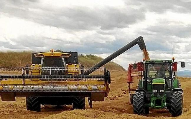 Una cosechadora y un tractor en un campo de cereal.