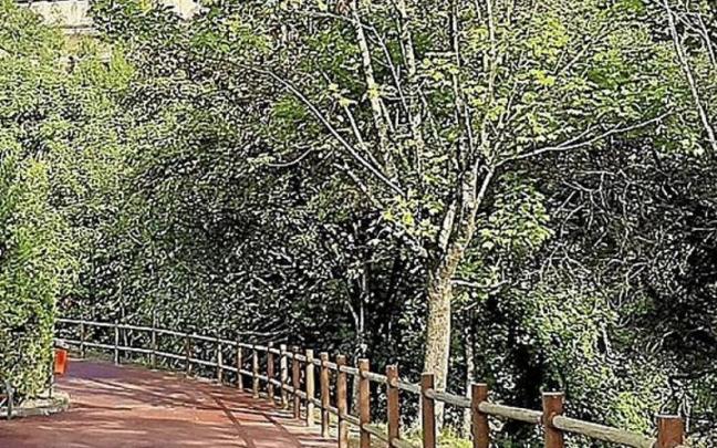 Imagen del nuevo suelo del paseo de la rana.