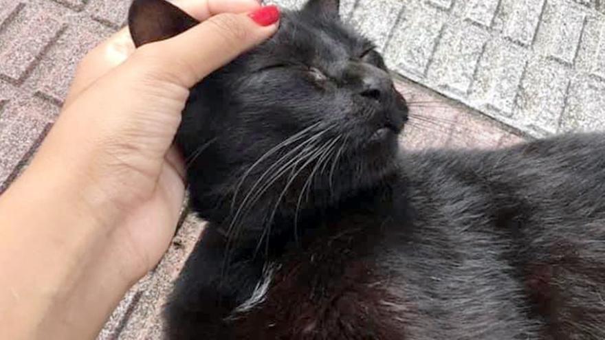 Beka se encarga de su cuidado.