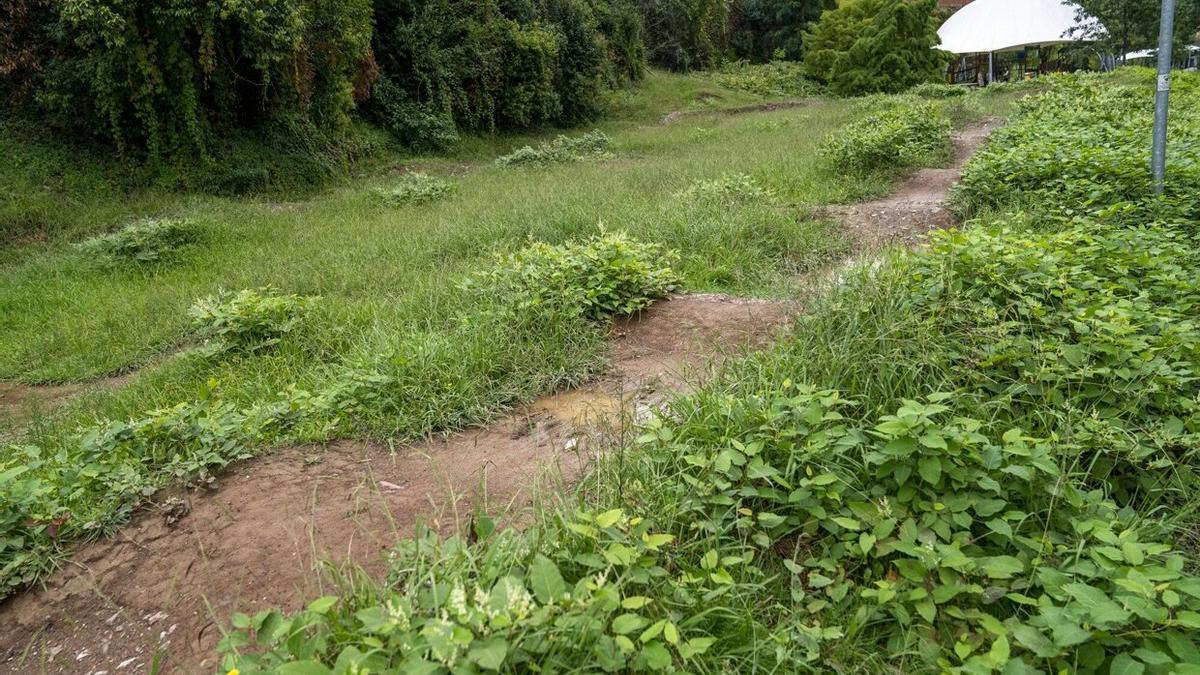 Estado actual de la pista de saltos de bicicleta de Arrobitxulo