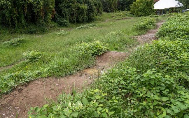 Estado actual de la pista de saltos de bicicleta de Arrobitxulo