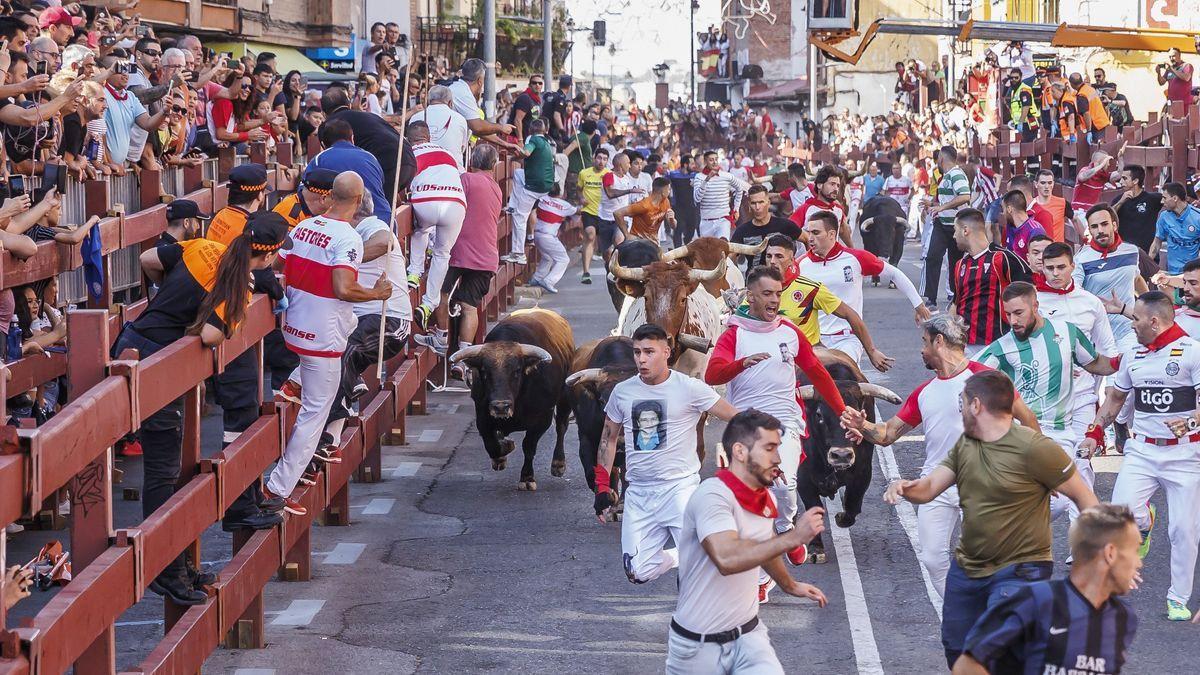 Encierro de las fiestas de San Sebastián de los Reyes.