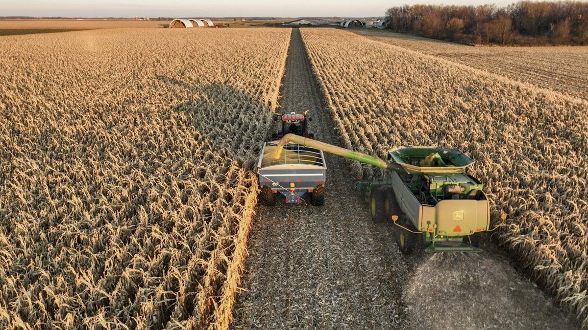 La agricultura es el único sector que perdió empleados en Gipuzkoa el pasado mes.