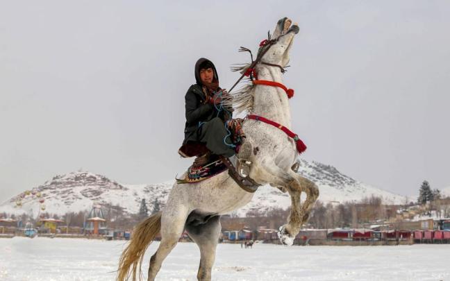 Un joven afgano monta a caballo en Kabul durante el temporal de frío y nieve. Un joven afgano monta a caballo en Kabul durante el temporal de frío y nieve.