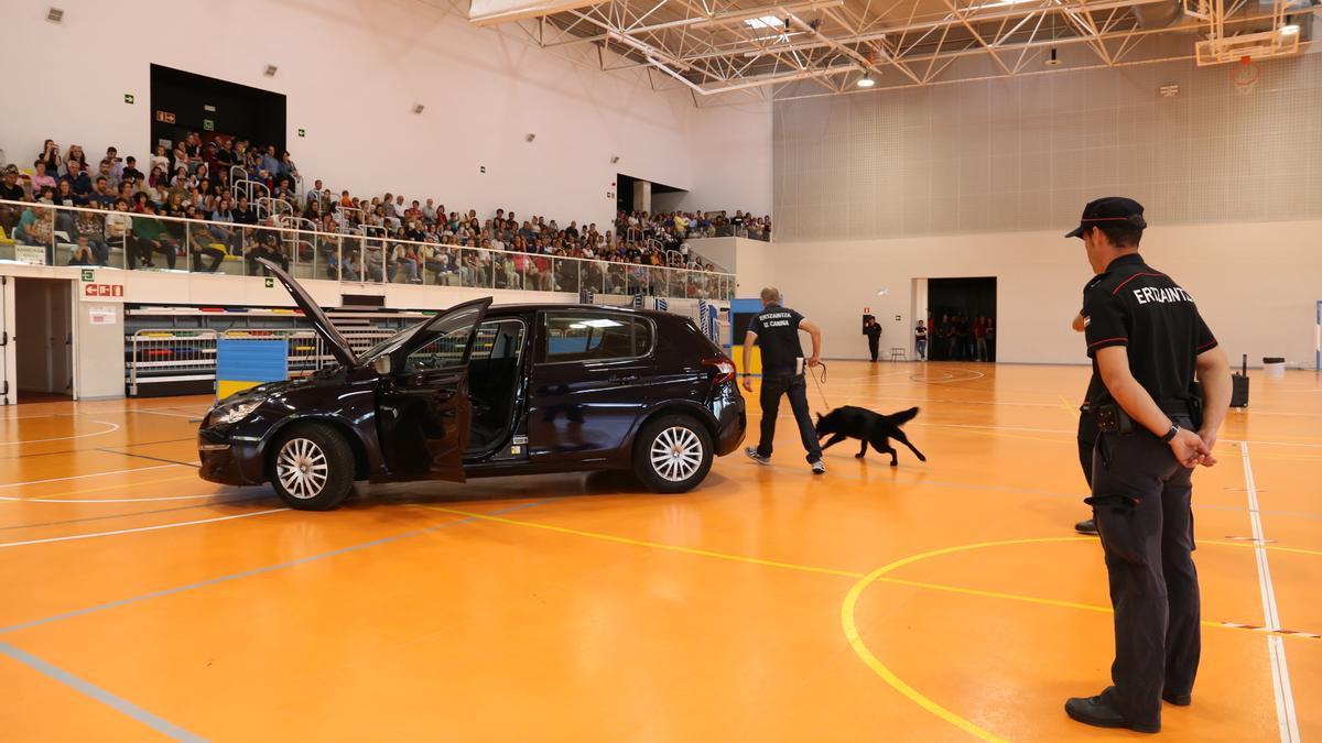 Así entrena la Unidad Canina de la Ertzaintza