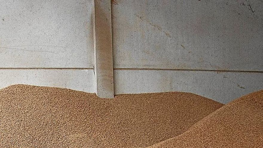 Los alaveses adelantan la compra de leña y pellet ante la carestía del gas y el gasóleo