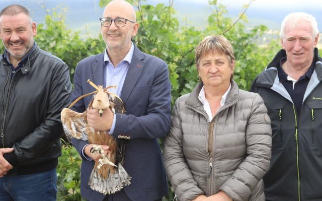 Suelta de uno de los polllos.