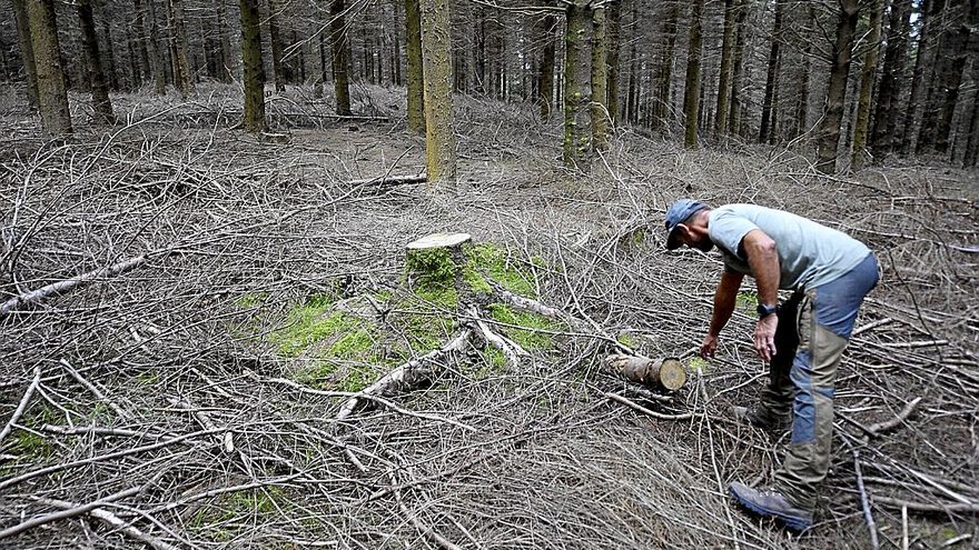 Operarios realizan podas y desbroces en el monte Sollube, imprescindibles para tener unos montes saneados en los que se reduzca el riesgo de incendios. | FOTOS: JOSÉ MARI MARTÍNEZ