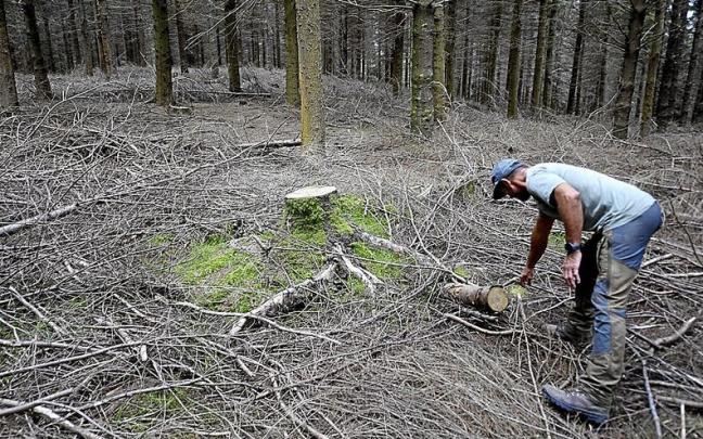 Operarios realizan podas y desbroces en el monte Sollube, imprescindibles para tener unos montes saneados en los que se reduzca el riesgo de incendios. | FOTOS: JOSÉ MARI MARTÍNEZ Operarios realizan podas y desbroces en el monte Sollube, imprescindibles para tener unos montes saneados en los que se reduzca el riesgo de incendios. | FOTOS: JOSÉ MARI MARTÍNEZ
