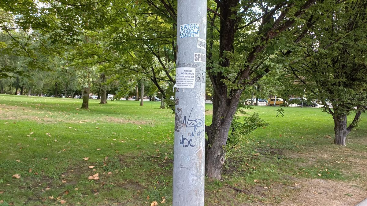 Carteles de jóvenes en farolas de Vitoria para encontrar un empleo.