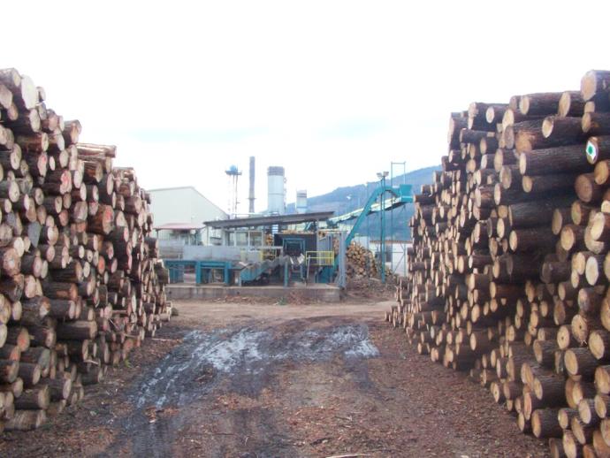 Instalaciones de la empresa antes del incendio.