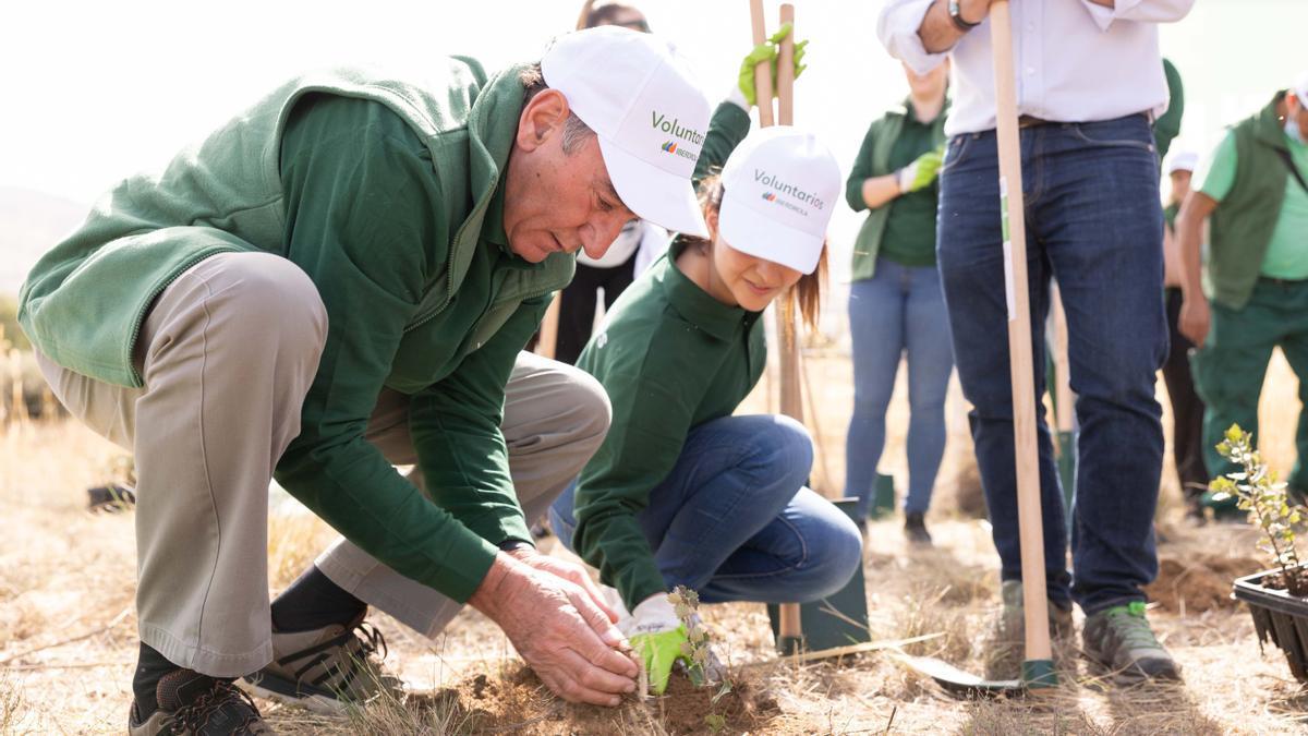 El presidente de Iberdrola, Ignacio Sánchez Galán, participó en la jornada de reforestación inclusiva desarrollada en Navalacruz (Ávila).