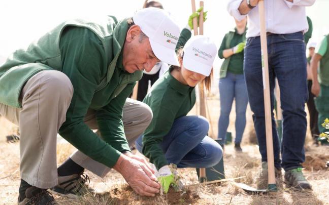 El presidente de Iberdrola, Ignacio Sánchez Galán, participó en la jornada de reforestación inclusiva desarrollada en Navalacruz (Ávila).