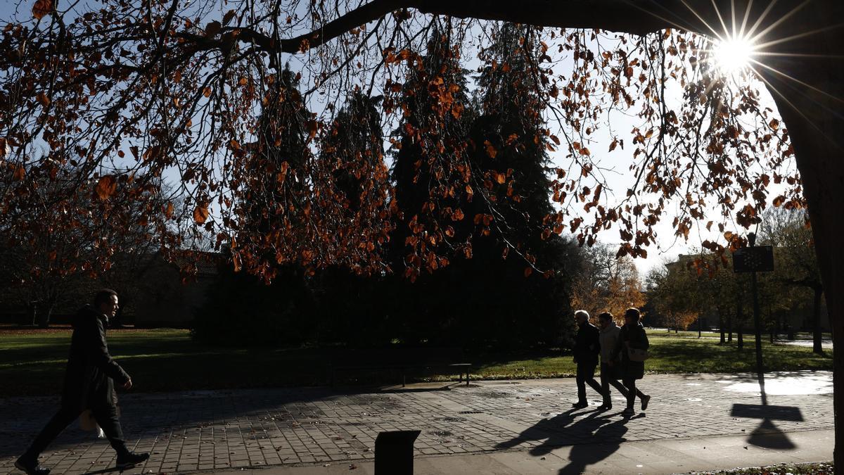 Varias personas pasean por el parque de La Ciudadela de Pamplona.