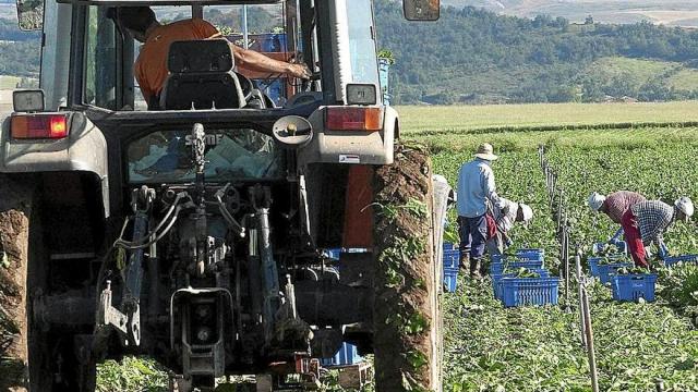 Imagen de archivo de un tractor ajeno a esta información 