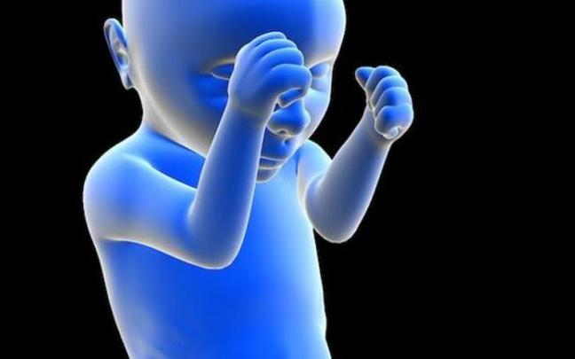 El tacto y la vista van unidos en el embri&oacute;n y se separan tras el nacimiento